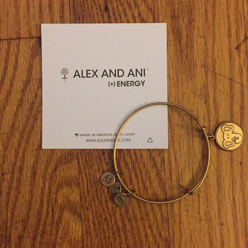 Alex + Ani Bracelet
